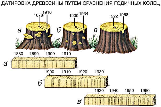 Файл:Датировка древесины путем сравнения годичных колец.jpg
