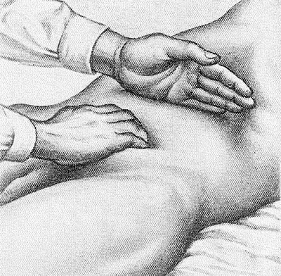 Файл:Определение нижней границы желудка двумя руками.jpg