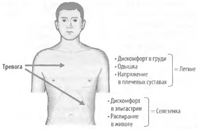 Ком в груди. Тревога в груди. Тревожность в грудине. Ощущение тревоги в груди. Чувство тревожности в груди.