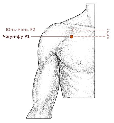 Файл:Акупунктурная точка P1 — LU1 — Чжун-фу — Zhongfu (acupoints.ru).jpg