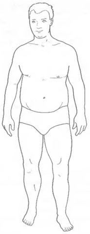 Файл:Форма тела, указывающая на Сырость или Флегму.png