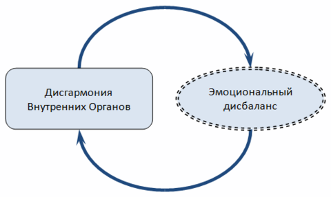 C взаимодействие. Взаимодействие тела и разума.