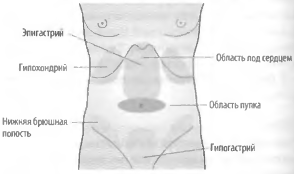 Зона эпигастрия где это фото