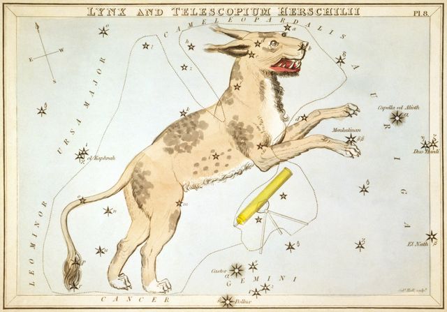 Файл:Sidney Hall - Urania's Mirror - Lynx and Telescopium Herschilii.jpg