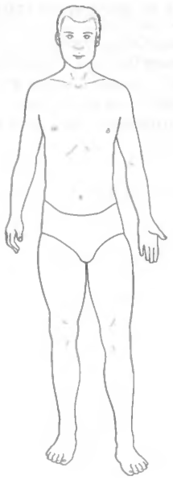 Файл:Форма тела, указывающая на недостаток Селезенки.png