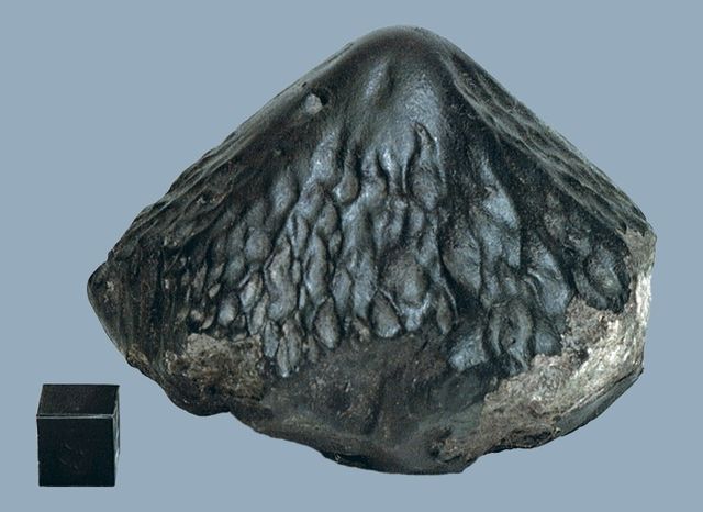 Файл:Каменный метеорит Каракол 21219.jpg