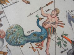Созвездия Павлин и Индеец, показанные на карте южного полушария небесной сферы И. Доппельмайера из его Atlas Coelestis, ок. 1742 года (зеркальное изображение), ярчайшая α Павлина — в голове птицы.