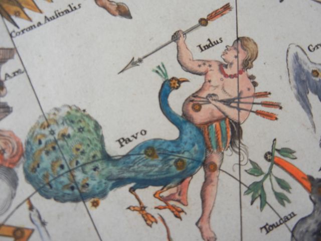 Файл:Johan Doppelmayr's celestial chart of Pavo and Indus.jpg