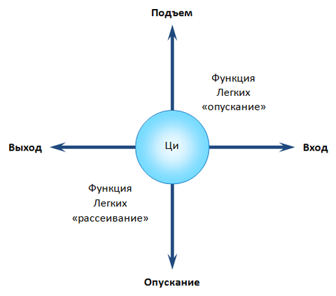 Виды энергии человека. Энергия личности. Функция ци. Функция ци. Функция ци.