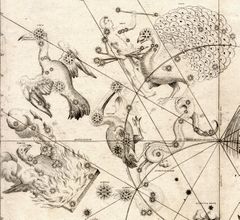 Индеец (вверху в центре) в отрывке из книги Иоганна Байера «Уранометрия», его первого появления в небесном атласе.