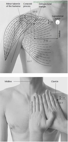 Файл:LU-1-Central-Residence-ZHONGFU-Acupuncture-Points-1.jpg