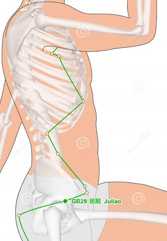 Файл:Drawing-skeleton-acupuncture-point-gb-juliao-gall-bladder-meridian-meridians-acupoints-human-body-human-gallbladder-81662387.jpg
