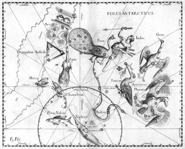 Файл:Johannes Hevelius - Prodromus Astronomia - Volume III Firmamentum Sobiescianum, sive uranographia - Tavola FFF - Polus Antarcticus.jpg