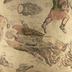 Созвездия на небесном глобусе 1551 года картографа Меркатора. Созвездие Волосы Вероники — в верхнем левом углу