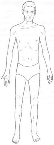 Файл:Форма тела, указывающая на недостаток Крови или Инь.png