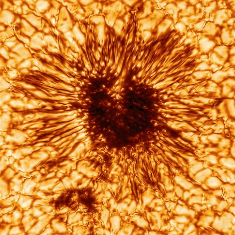 Файл:DKIST-First-Sunspot.jpg